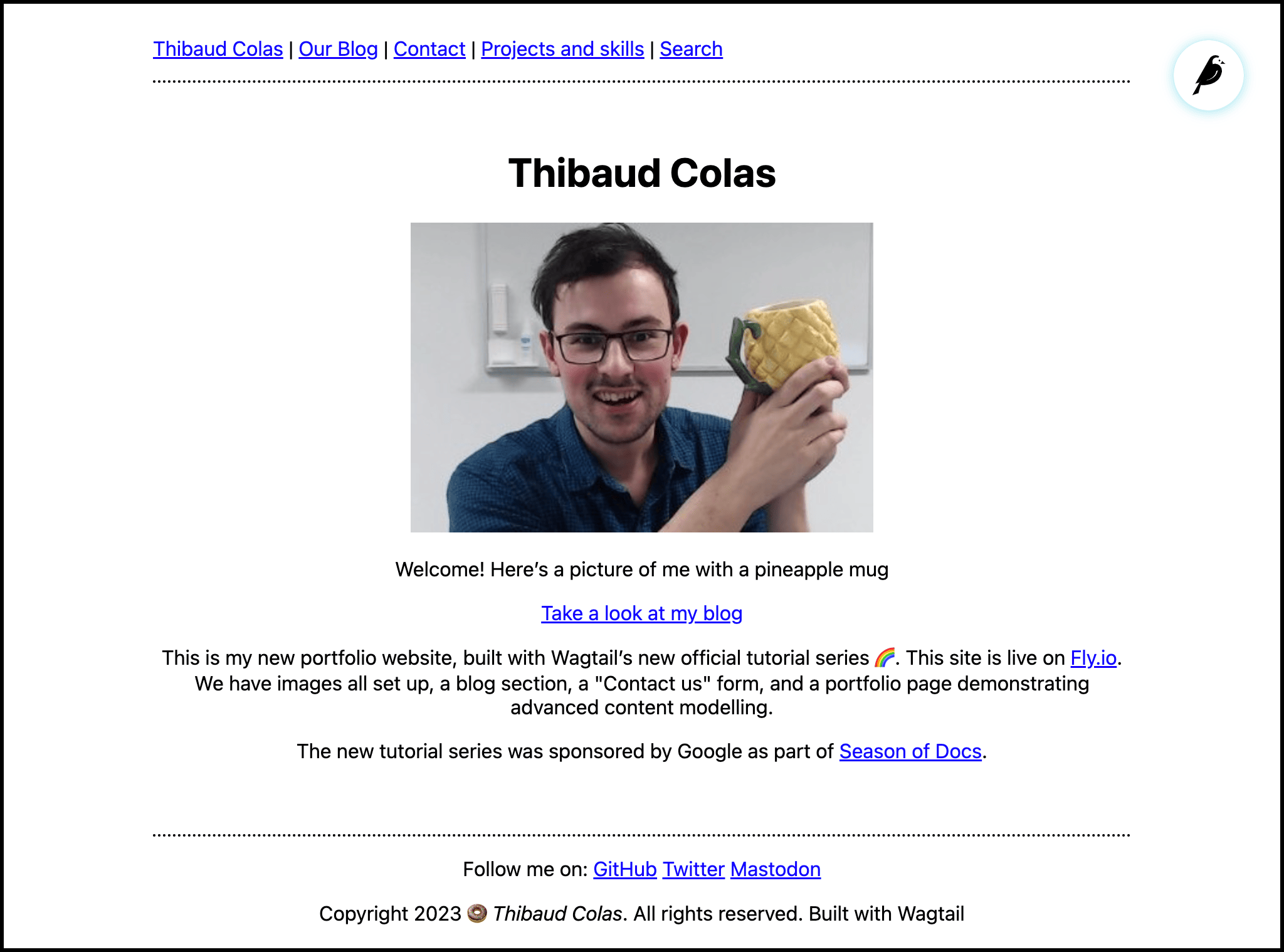Screenshot of the portfolio website homepage with content from Thibaud with a pineapple mug
