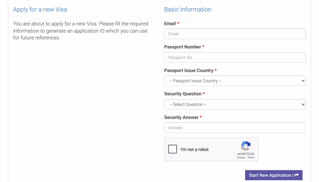 New visa application form showing email, passport number, security question and reCAPTCHA