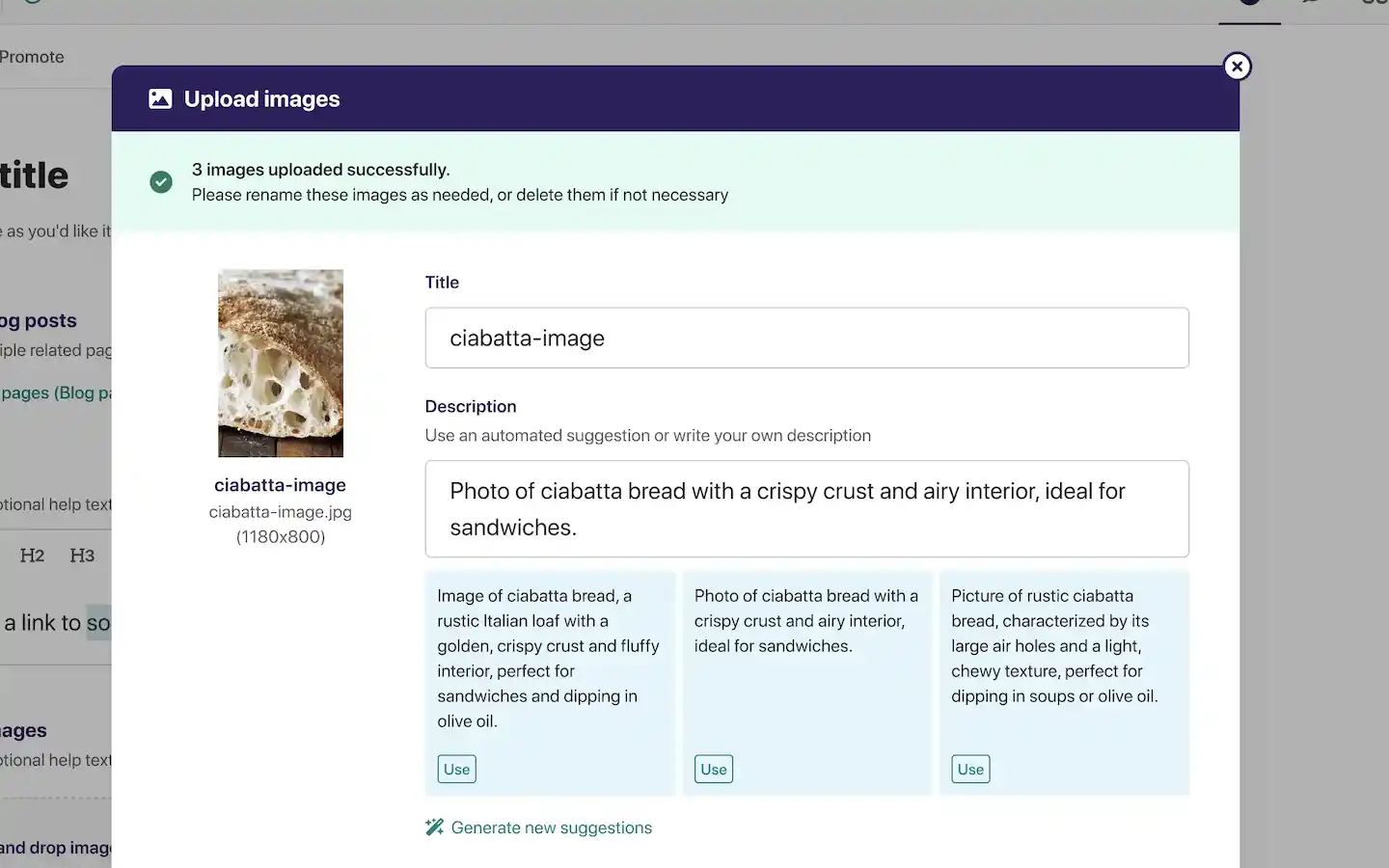 Screenshot of the Wagtail Upload images interface. It says 3 images were uploaded successfully, and offers three different options to fill the description field