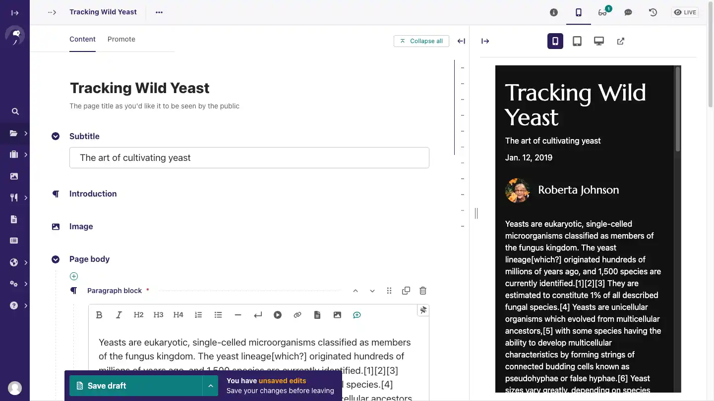 Screenshot of the Wagtail 6.3 page editor, with a sidebar to the left, an editing form, and to the right a preview panel with a dark theme web page